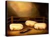 Three Prize Pigs Outside a Sty-null-Stretched Canvas