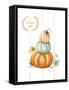 Three Pumpkins-Patricia Pinto-Framed Stretched Canvas