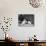 Three Puppies from the Riu-Gu Kennel Sit Next to a Tub of Plants-null-Stretched Canvas displayed on a wall