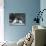 Three Puppies from the Riu-Gu Kennel Sit Next to a Tub of Plants-null-Photographic Print displayed on a wall