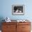 Three Puppies from the Riu-Gu Kennel Sit Next to a Tub of Plants-null-Framed Photographic Print displayed on a wall