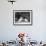 Three Puppies from the Riu-Gu Kennel Sit Next to a Tub of Plants-null-Framed Photographic Print displayed on a wall