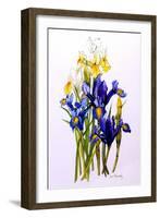Three Purple and Two Yellow Iris with Buds, 2010-Joan Thewsey-Framed Giclee Print