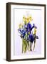 Three Purple and Two Yellow Iris with Buds, 2010-Joan Thewsey-Framed Giclee Print