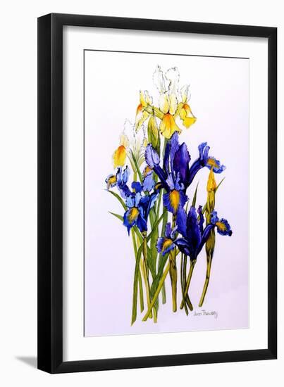 Three Purple and Two Yellow Iris with Buds, 2010-Joan Thewsey-Framed Giclee Print