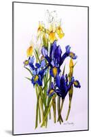 Three Purple and Two Yellow Iris with Buds, 2010-Joan Thewsey-Mounted Giclee Print