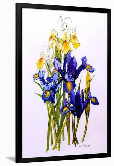 Three Purple and Two Yellow Iris with Buds, 2010-Joan Thewsey-Framed Giclee Print