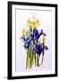 Three Purple and Two Yellow Iris with Buds, 2010-Joan Thewsey-Framed Giclee Print