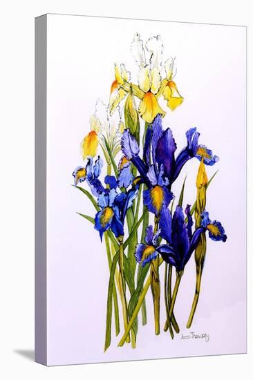 Three Purple and Two Yellow Iris with Buds, 2010-Joan Thewsey-Stretched Canvas