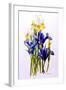 Three Purple and Two Yellow Iris with Buds, 2010-Joan Thewsey-Framed Giclee Print