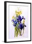 Three Purple and Two Yellow Iris with Buds, 2010-Joan Thewsey-Framed Giclee Print