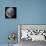 Three Quarter Moon-Stocktrek Images-Mounted Photographic Print displayed on a wall