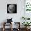 Three Quarter Moon-Stocktrek Images-Photographic Print displayed on a wall