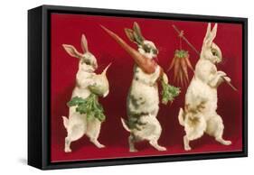 Three Rabbits Carrying Vegetables-null-Framed Stretched Canvas