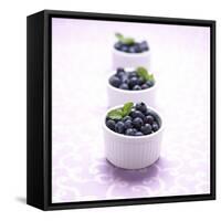 Three Ramekins Full of Blueberries-John Montana-Framed Stretched Canvas