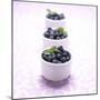 Three Ramekins Full of Blueberries-John Montana-Mounted Photographic Print