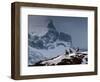 Three Rams-Steven Gnam-Framed Photographic Print