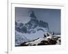 Three Rams-Steven Gnam-Framed Photographic Print