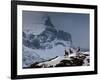 Three Rams-Steven Gnam-Framed Photographic Print