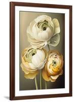 Three Ranunculus flowers-Lea Faucher-Framed Art Print