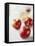 Three Red Apples-Alena Hrbkova-Framed Stretched Canvas