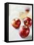 Three Red Apples-Alena Hrbkova-Framed Stretched Canvas