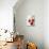 Three Red Apples-Alena Hrbkova-Stretched Canvas displayed on a wall