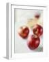 Three Red Apples-Alena Hrbkova-Framed Photographic Print