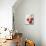 Three Red Apples-Alena Hrbkova-Mounted Photographic Print displayed on a wall