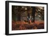 Three Red Deer, Cervus Elaphus, Standing in London's Richmond Park-Alex Saberi-Framed Photographic Print