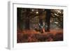 Three Red Deer, Cervus Elaphus, Standing in London's Richmond Park-Alex Saberi-Framed Photographic Print