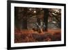 Three Red Deer, Cervus Elaphus, Standing in London's Richmond Park-Alex Saberi-Framed Photographic Print