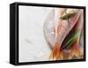 Three Red Mullet with Bay Leaves-Eising Studio - Food Photo and Video-Framed Stretched Canvas