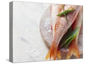 Three Red Mullet with Bay Leaves-Eising Studio - Food Photo and Video-Stretched Canvas