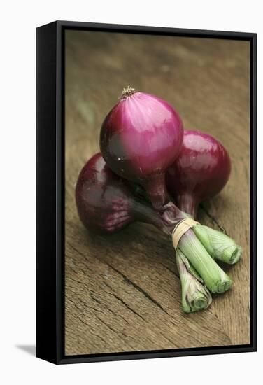 Three Red Onions on Wooden Background-Vladimir Shulevsky-Framed Stretched Canvas