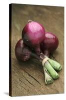 Three Red Onions on Wooden Background-Vladimir Shulevsky-Stretched Canvas