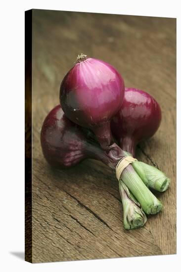 Three Red Onions on Wooden Background-Vladimir Shulevsky-Stretched Canvas