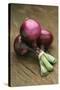 Three Red Onions on Wooden Background-Vladimir Shulevsky-Stretched Canvas