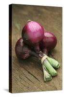 Three Red Onions on Wooden Background-Vladimir Shulevsky-Stretched Canvas
