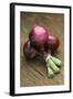 Three Red Onions on Wooden Background-Vladimir Shulevsky-Framed Photographic Print