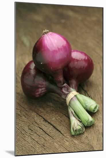 Three Red Onions on Wooden Background-Vladimir Shulevsky-Mounted Photographic Print