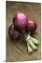 Three Red Onions on Wooden Background-Vladimir Shulevsky-Mounted Photographic Print