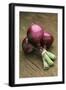 Three Red Onions on Wooden Background-Vladimir Shulevsky-Framed Photographic Print