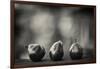 Three Red Pears on the Precipice-Geoffrey Ansel Agrons-Framed Photographic Print