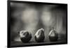 Three Red Pears on the Precipice-Geoffrey Ansel Agrons-Framed Photographic Print