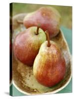 Three Red Williams Pears in a Bowl-Alain Caste-Stretched Canvas