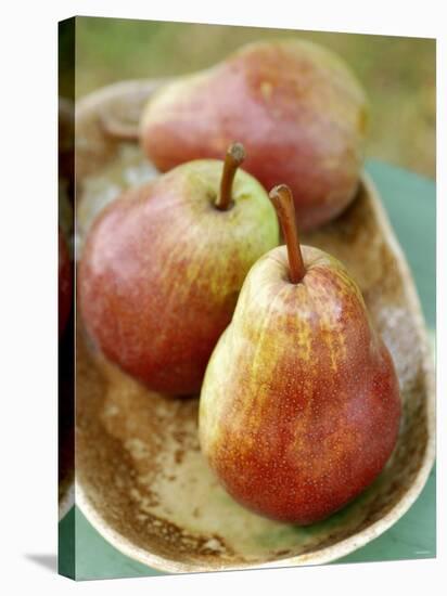 Three Red Williams Pears in a Bowl-Alain Caste-Stretched Canvas