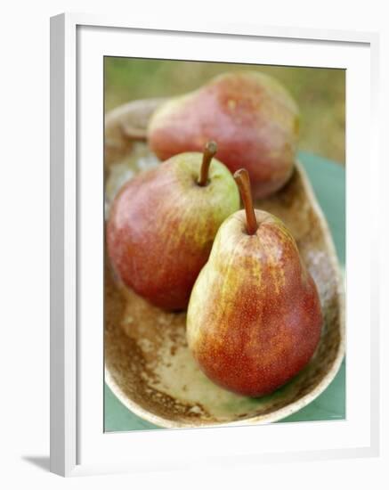 Three Red Williams Pears in a Bowl-Alain Caste-Framed Photographic Print