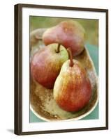 Three Red Williams Pears in a Bowl-Alain Caste-Framed Photographic Print