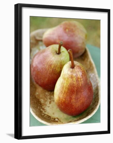Three Red Williams Pears in a Bowl-Alain Caste-Framed Photographic Print